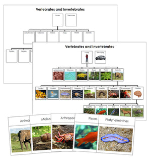Vertebrates & Invertebrates Charts & Cards - Montessori Print Shop