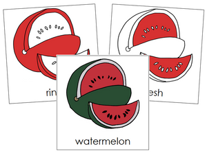 Watermelon Nomenclature Cards (red) - Montessori Print Shop