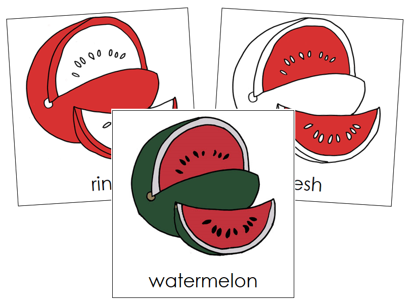 Watermelon Nomenclature Cards (red) - Montessori Print Shop