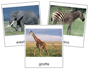 Wild Animal 3-Part Cards - Montessori Print Shop